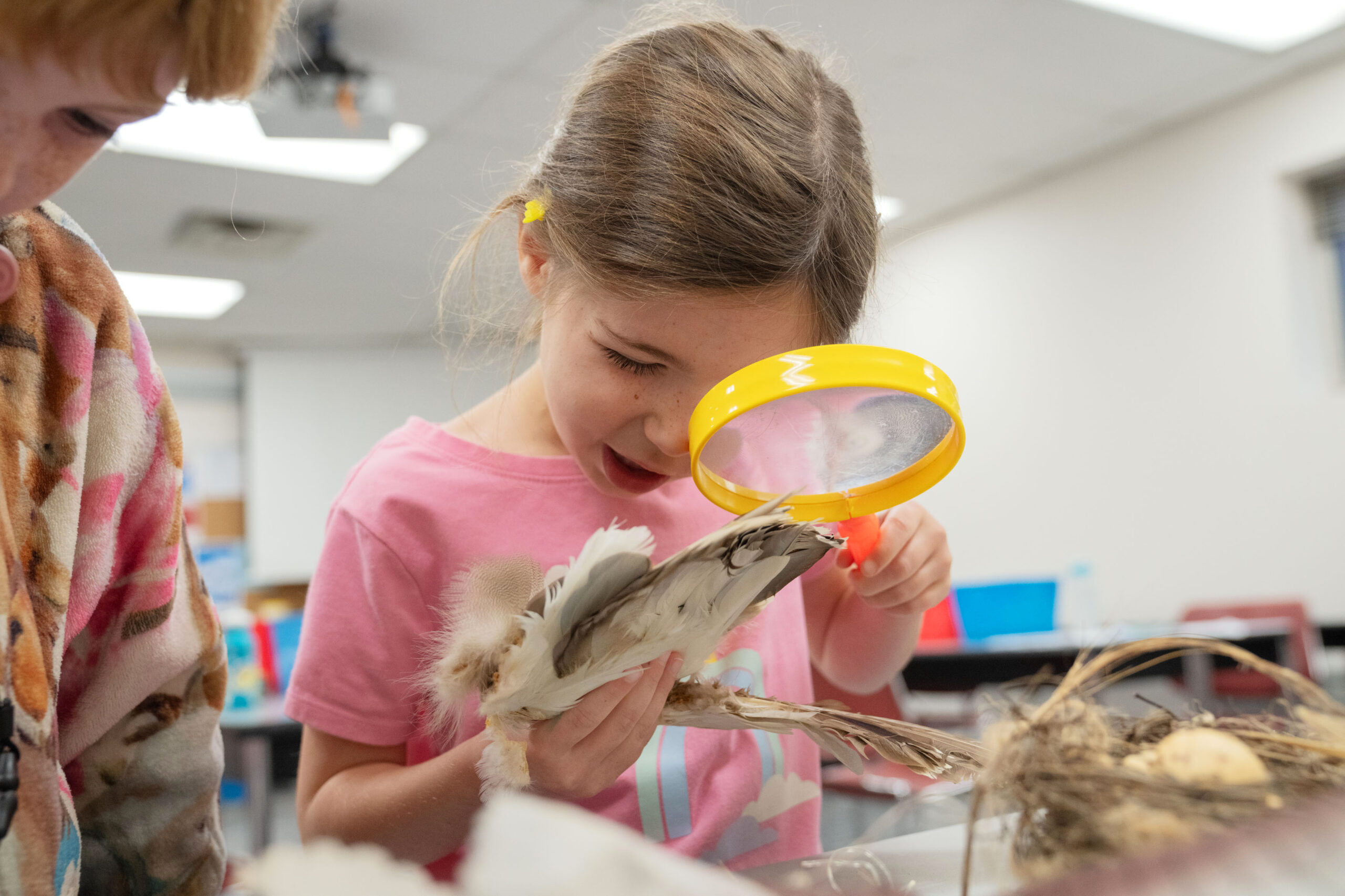 summer camper inspecting specimen from nature