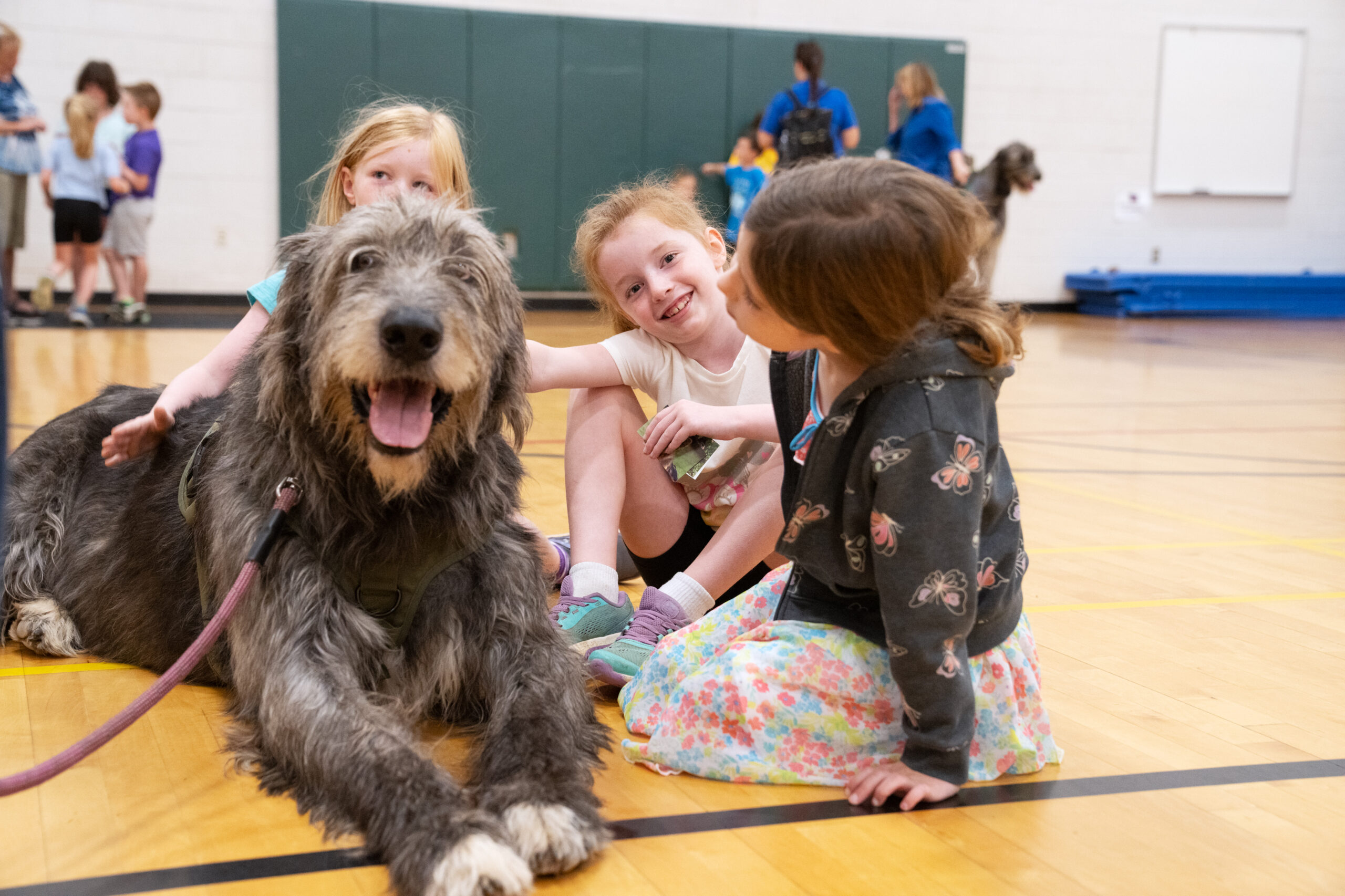 summer campers with dog