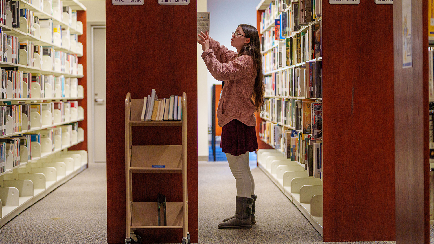 Campus Library Carroll Community College